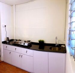 Blk 169 Stirling View (Queenstown), HDB 3 Rooms #607198301